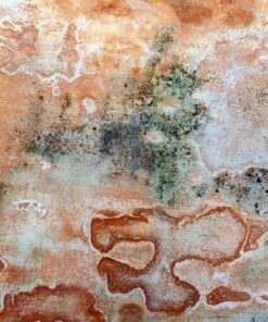 Fototapeta Kolorowy Wzór