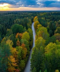 Fototapeta Začátek podzimu