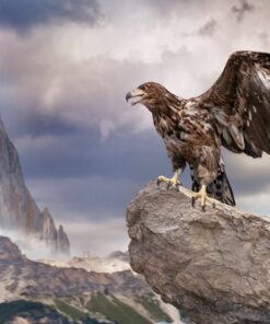 Fototapeta Eagle on the Rock