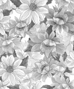 Fototapeta Margaretki