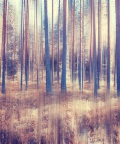 Fototapeta Rozmazaný les