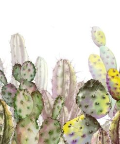 Fototapeta Cactus Plantation