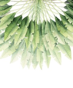 Fototapeta Listy v půlkruhu