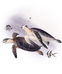 Fototapeta Dvě želvy