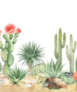 Fototapeta Kaktusy v poušti