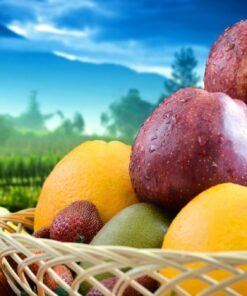 Fototapeta Ovoce v košíku