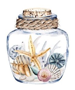 Fototapeta Kompozice s hvězdicí