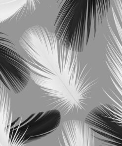 Fototapeta Černá a bílá peří