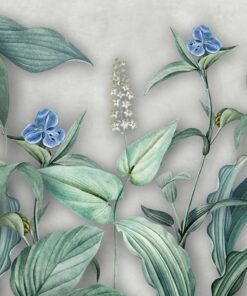 Fototapeta Modrý květ