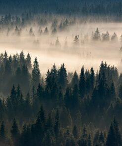 Fototapeta Misty Valley Scenery