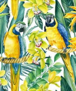 Fototapeta Papoušci na květinové pozadí