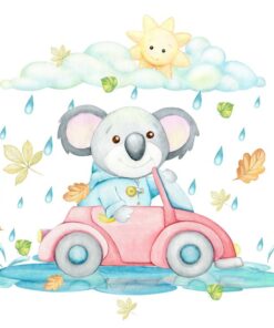 Fototapeta Koala Driving a Car