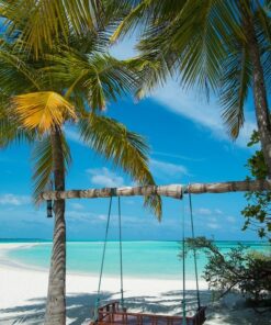 Fototapeta Palmy a houpačka