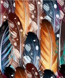 Fototapeta Barevné peří 3