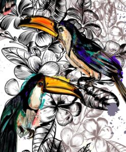 Fototapeta Kresba Tukan