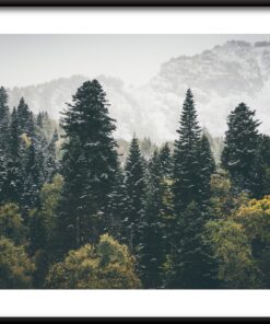 Plakát horského lesa