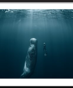 Potápění spolu plakát