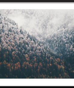 Plakát horského lesa 2