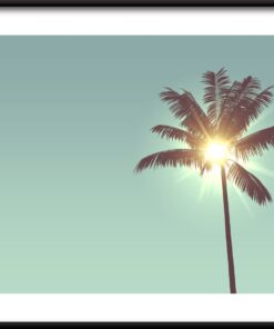 Plakát Slunce v palmě