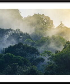 Plakát Les za mlhou