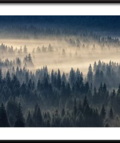 Lesní mlha plakát