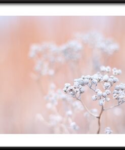 Jemný květinový plakát
