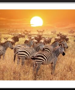 Plakát africké fauny