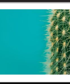 Polovina kaktusového plakátu