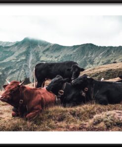 Plakát Odpočívej v horách