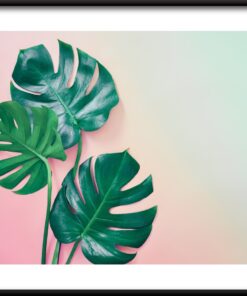 Zelený a růžový plakát