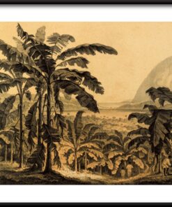 Džungle tisk plakát