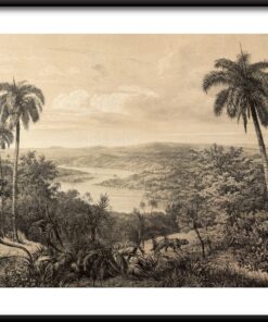 Bývalý plakát Amazonu