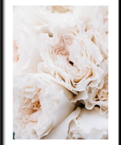 Krémová kytice plakát