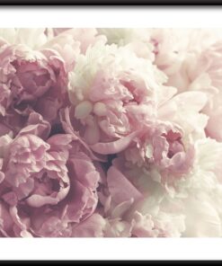 Plakát Kytice pivoněk