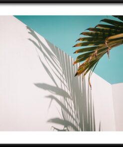 Palmový stín plakát