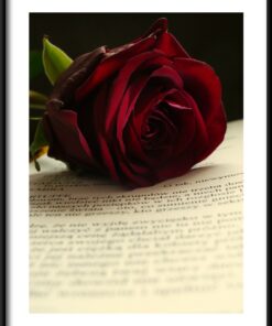 Plakát růže slova