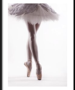 Baletní krok plakát