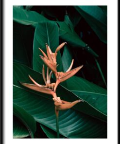 Cestovatel květinový plakát