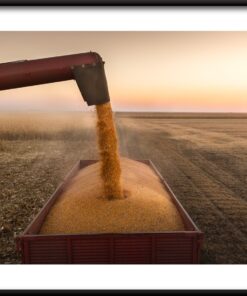 Plakát plné sklizně