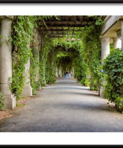 Plakátové sloupy v zeleni