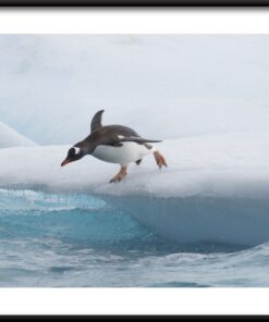 Skoč do vody plakát