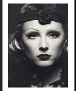 Plakátová čelenka s růží