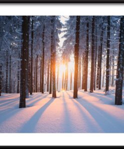 Zimní slunce plakát