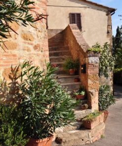 Fototapeta Krásné Toskánsko