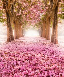 Fototapeta Pink Trees