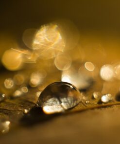 Samolepka na zeď Golden Drops