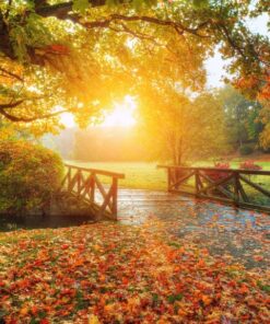 Fototapeta Podzimní most