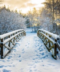 Fototapeta Zimní most