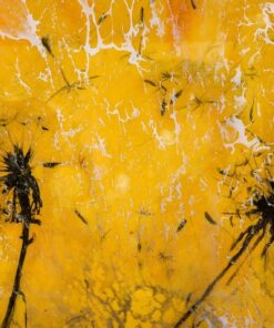 Fototapeta Žluté pampelišky