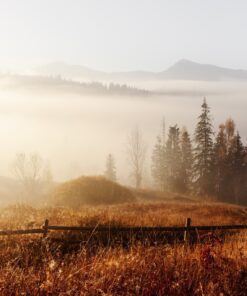 Fototapeta Foggy day